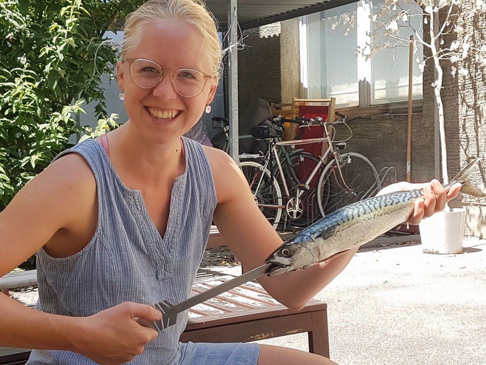 Grill Schwerter - Knister Grill